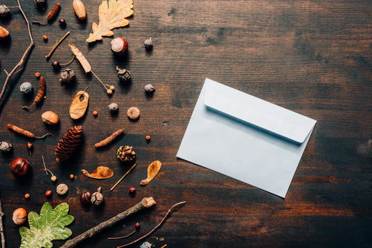 💌 A Letter to our Day-One Customers - Patang