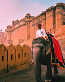 Elephant with a person on its back in front of a historic building