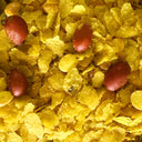 Jamnagari Chiwda