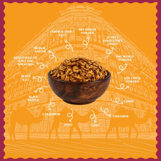Bikaneri Jor Garam - Patang