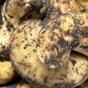 Close up of large roasted Thoothukudi cashews coated in freshly cracked black pepper, a premium healthy Indian snack
